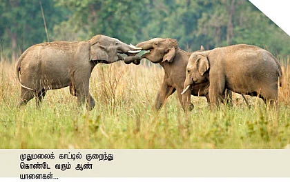 ஓர் ஊர்சுற்றியின் சாலைக் குறிப்புகள்!