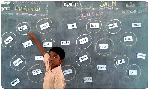 Gender