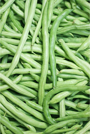 இயற்கை டாக்டர்