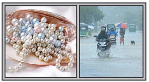 கேள்வி பதில்