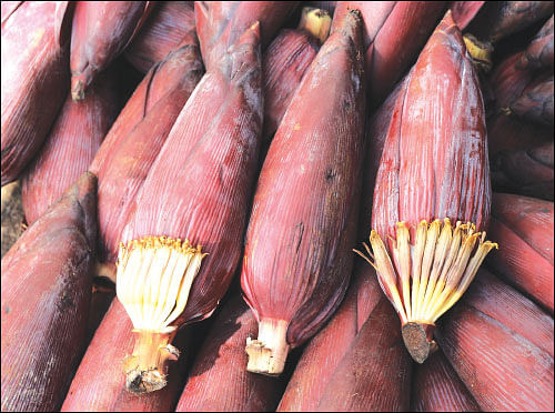 நல்லனவெல்லாம் தரும் நாட்டுக்காய்கறிகள்