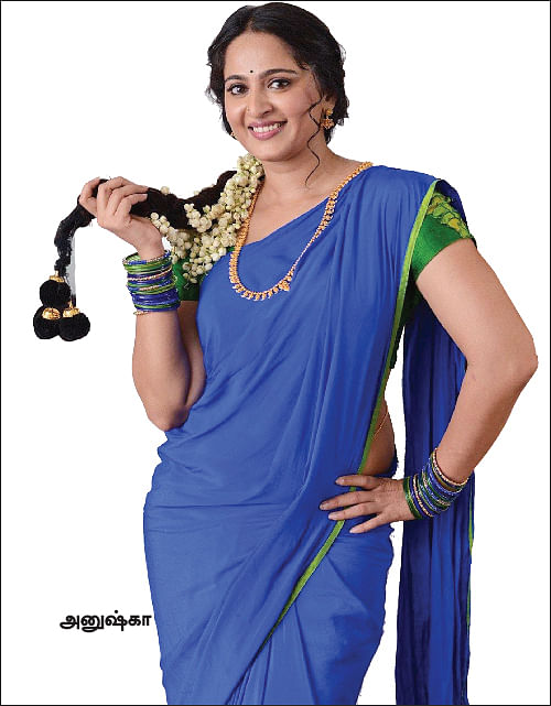 மிஸ்டர் மியாவ்