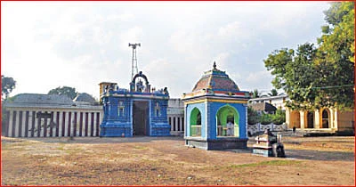 நாகநாதருக்கு நாகலிங்கப் பூ!