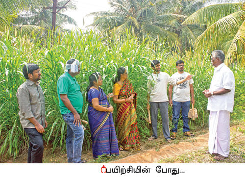ஒரு நாள் விவசாயி! - பருவம்-2