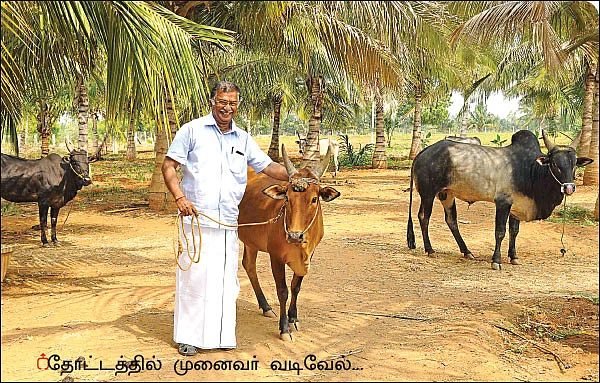 பஞ்சகவ்யா! - 20 - பஞ்சகவ்யா விற்பனையில் பல்கலைக்கழகம்!