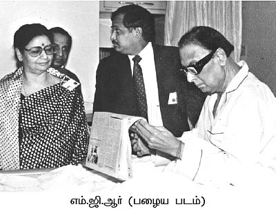 அழிவின் விளிம்பில் அரசாங்க பனை... இது, ஆட்சியாளர்கள் செய்த வினை!