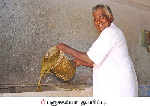 பஞ்சகவ்யா - 9