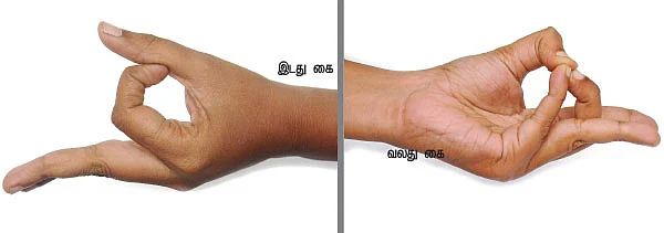 விரல்கள் செய்யும் விந்தை