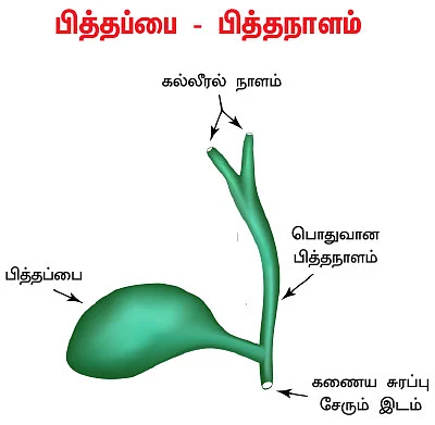 இனி எல்லாம் சுகமே - 20