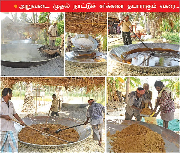 கலக்கும் கவுந்தப்பாடி நாட்டுச் சர்க்கரை!