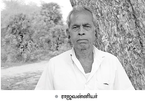 வரப்புப் பயிரிலும் வளமான வருமானம்... ‘பலே பண்ருட்டி பலா!