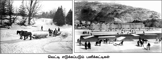 எனது இந்தியா!