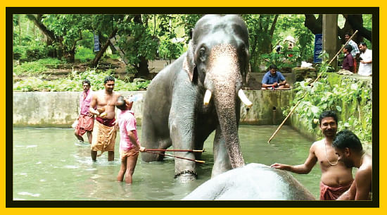 சுட்டி ஸ்டார் நியூஸ்!