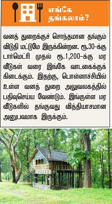 டூர் ஸ்பெஷல்