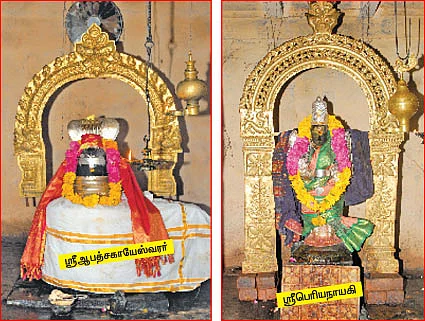ஆரோக்கியம் அருளும் ஆலய விருட்சங்கள்!