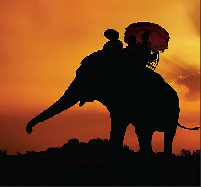 அதனதன் இடத்தில்...