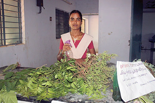 கனவு ஆசிரியர்