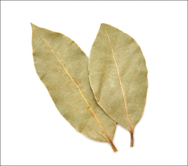 நோய் எதிர்ப்புத் திறன் தரும் பிரியாணி இலை