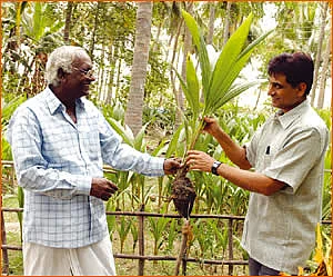 ‘மூளை’தனம் - ‘கவின் கேர்’ ரங்கநாதன்