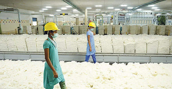 பட்டதாரிகளை உருவாக்கும் பஞ்சாலை!