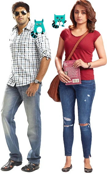 மிஸ்டர் மியாவ்