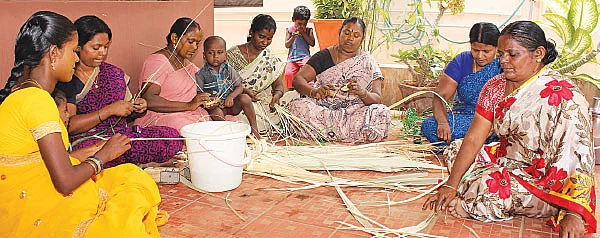 பனையில் அள்ளலாம் பணம்!