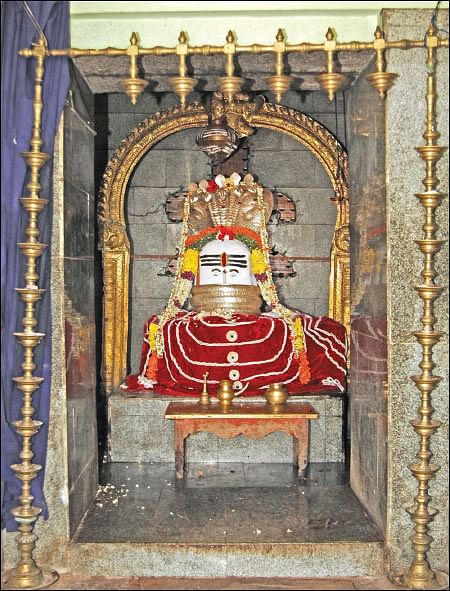 கேள்வி - பதில்: வாழை இலையில் முதலிடம் எதற்கு?