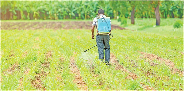 இயற்கை பூச்சி விரட்டி ‘இ.எம்-5’ - உதவிக்கு வரும் உயிரியல் - 14