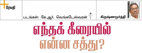 எந்தக் கீரையில் என்ன சத்து?