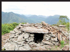 தமிழர் கூடு