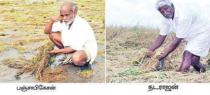 நேரடிநெல் கொள்முதல் கோல்மால்....