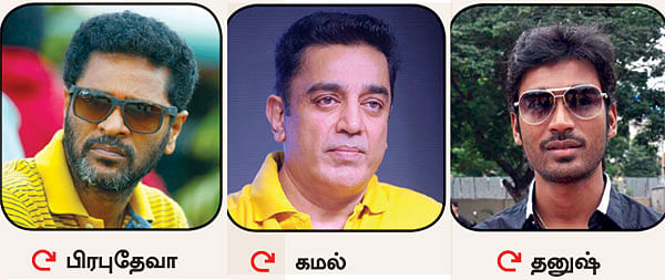 மிஸ்டர் மியாவ்