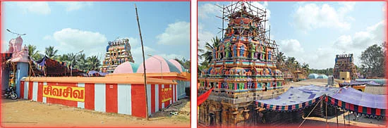 ஆரோக்கியம் அருளும் ஆலய விருட்சங்கள்!