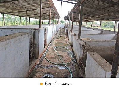 என் செல்லமே...