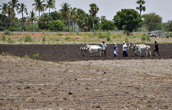 மண்ணுக்கு மரியாதை! - 11