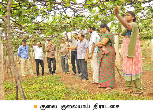 ’ஒரு நாள் விவசாயி!’