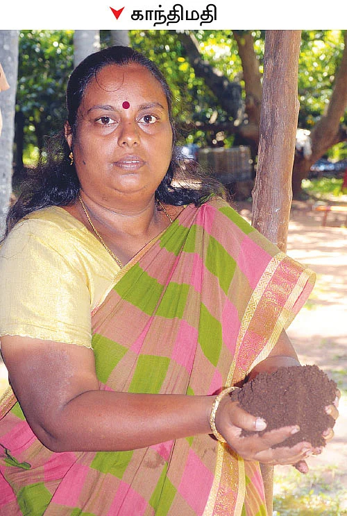 பணம் தரும் மண்புழு உரம்!