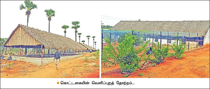 பணம் குவிக்கும் பண்ணைத்தொழில்கள்! - 2 - 380 தாய்க்கோழிகள்... 40 சேவல்கள்... மாதம் ரூ. 2,25,000 - நல்ல லாபம் கொடுக்கும் நாட்டுக்கோழிகள்!