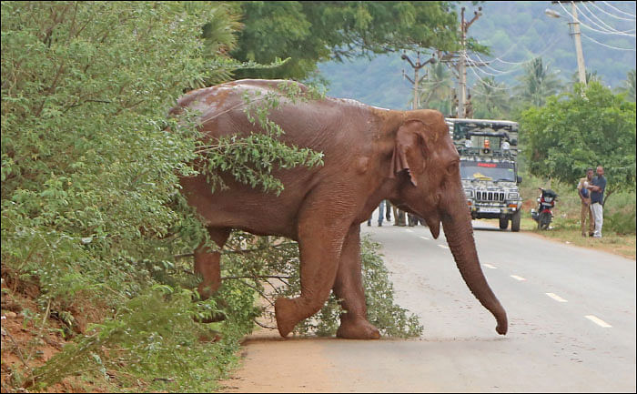 தமிழகம் இன்ஃபோ ஸ்பெஷல் #3 - தருமபுரி 200 இன்ஃபோ புக்