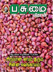 கடுதாசி
