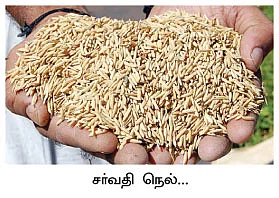 சர்வதி...