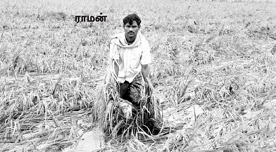 ''தலைமுறைக்கு இந்தப் புயல் போதும் சாமி..''
