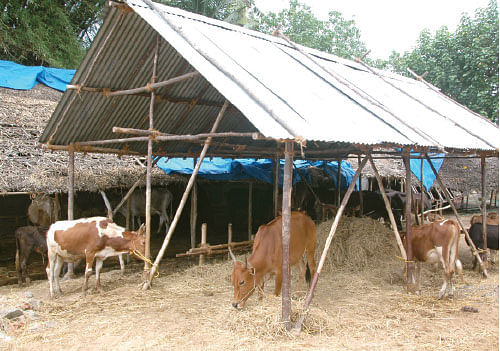 சித்தமெல்லாம் சித்தமல்லி - 8!