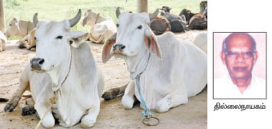 நீங்கள் கேட்டவை