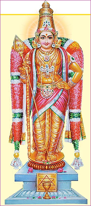 தைப்பூச தரிசனம்!: உருவோ அருவோ... முருகா அருள்வாய்!