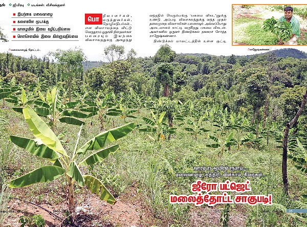 பாராட்டு வாங்கித் தந்த ‘பசுமை’!