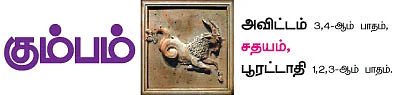 விஜய வருடம் - ராசிபலன்கள்