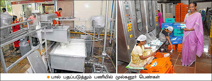 மண்புழு மன்னாரு: லாபகரமான பால் பண்ணைக்கு வழிகாட்டும் தெலங்கானா!