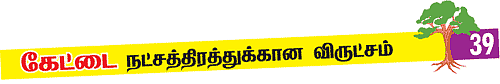 ஆரோக்கியம் அருளும் ஆலய விருட்சங்கள்!