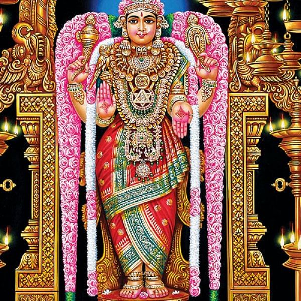 இப்படிக்கு... கற்பகம் எனும் அற்புதம்!